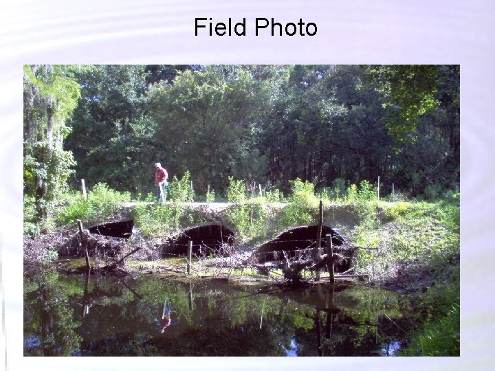 Field Photo Field Photo