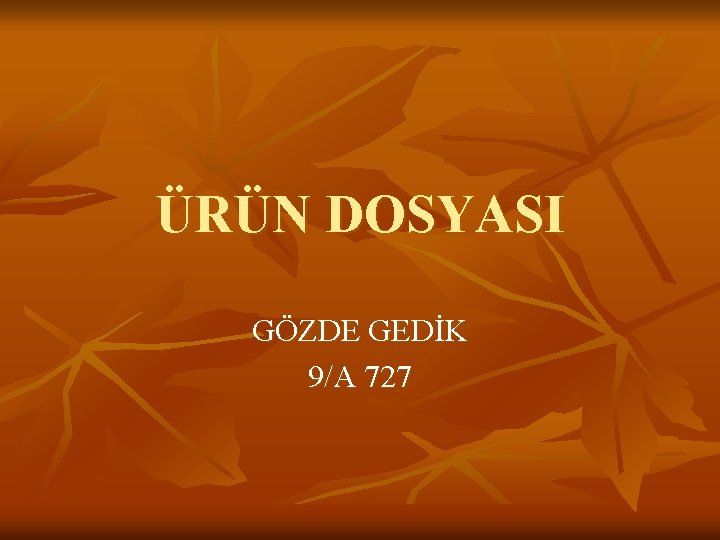 ÜRÜN DOSYASI GÖZDE GEDİK 9/A 727 