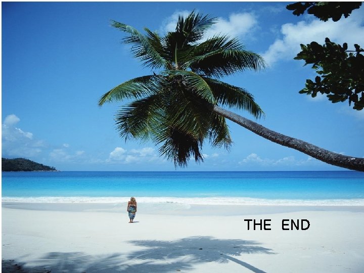 THE END 