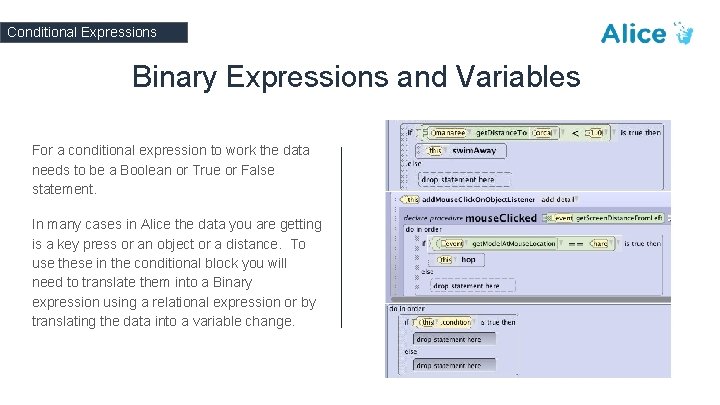 Conditional Expressions Binary Expressions and Variables For a conditional expression to work the data