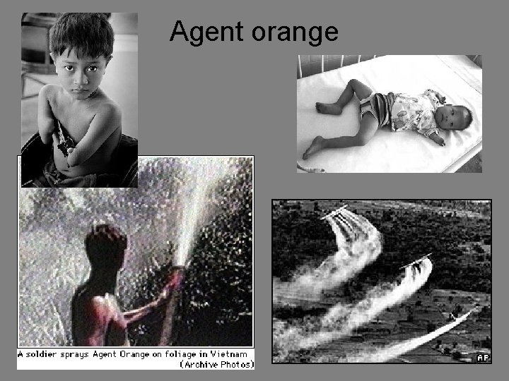 Agent orange Agent orange