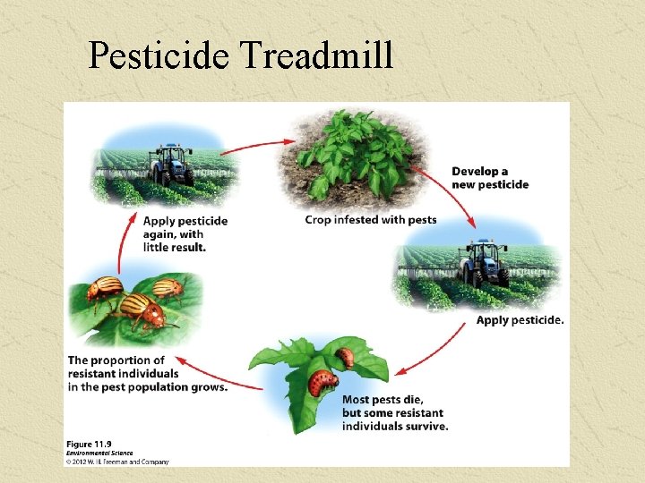 Pesticide Treadmill 