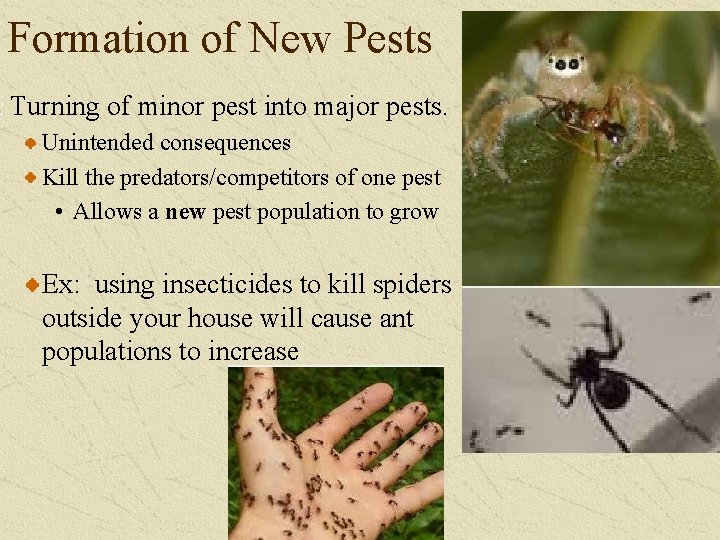 Formation of New Pests Turning of minor pest into major pests. Unintended consequences Kill