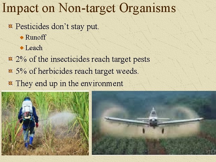 Impact on Non-target Organisms Pesticides don’t stay put. Runoff Leach 2% of the insecticides
