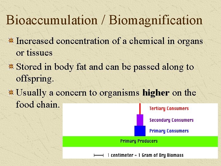 Bioaccumulation / Biomagnification Increased concentration of a chemical in organs or tissues Stored in