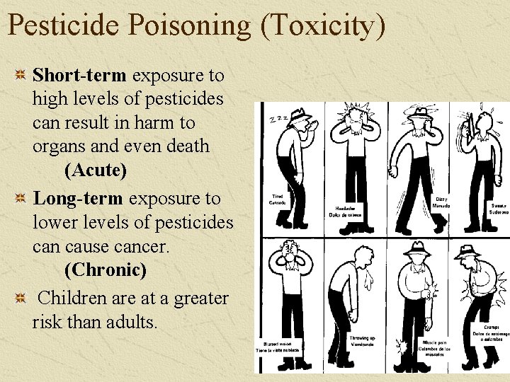 Pesticide Poisoning (Toxicity) Short-term exposure to high levels of pesticides can result in harm