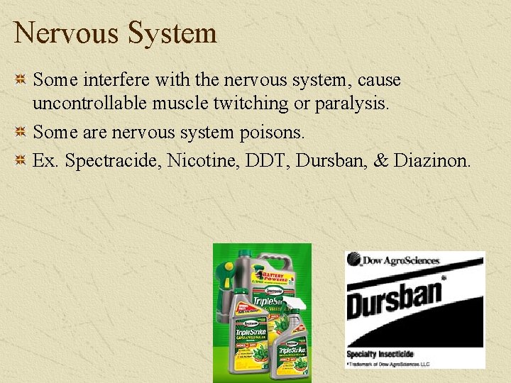 Nervous System Some interfere with the nervous system, cause uncontrollable muscle twitching or paralysis.