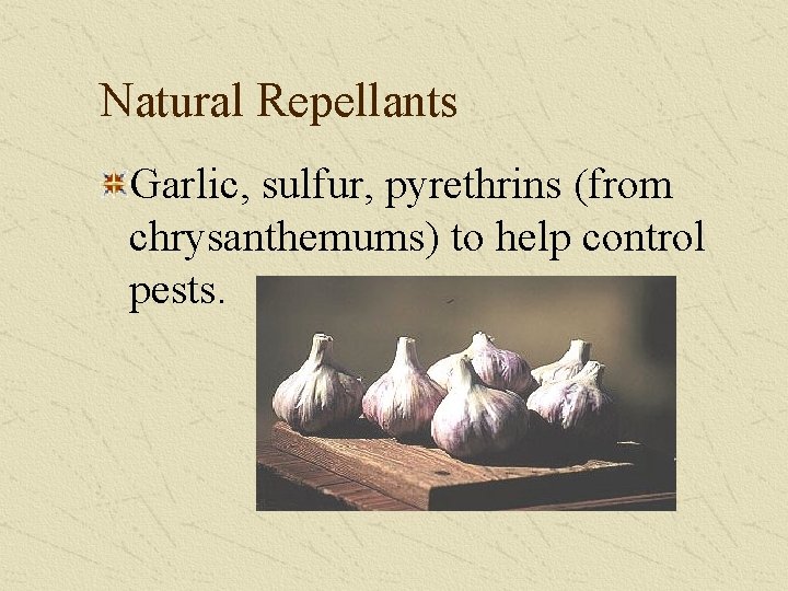  Natural Repellants Garlic, sulfur, pyrethrins (from chrysanthemums) to help control pests. 