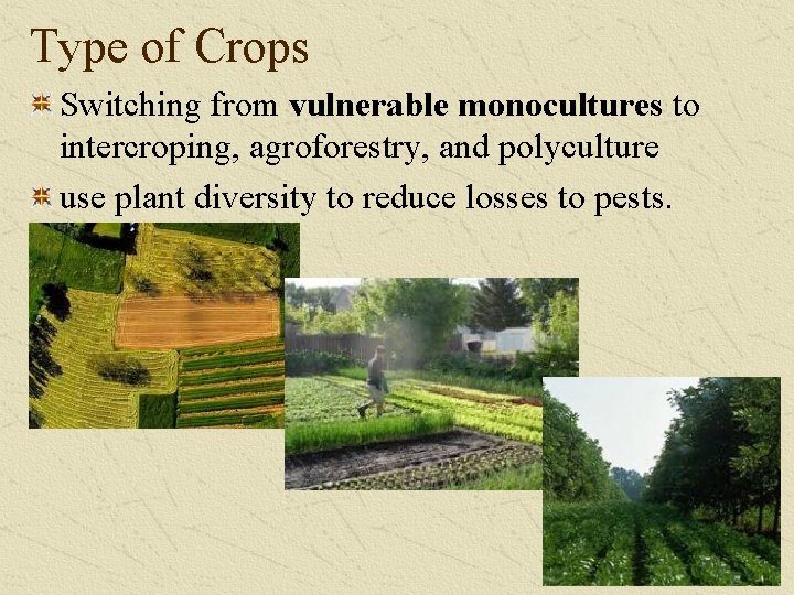 Type of Crops Switching from vulnerable monocultures to intercroping, agroforestry, and polyculture use plant