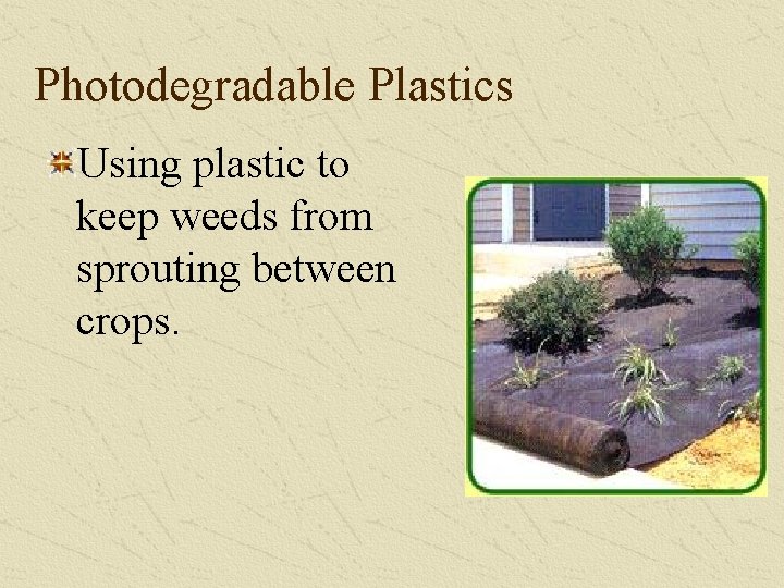 Photodegradable Plastics Using plastic to keep weeds from sprouting between crops. 