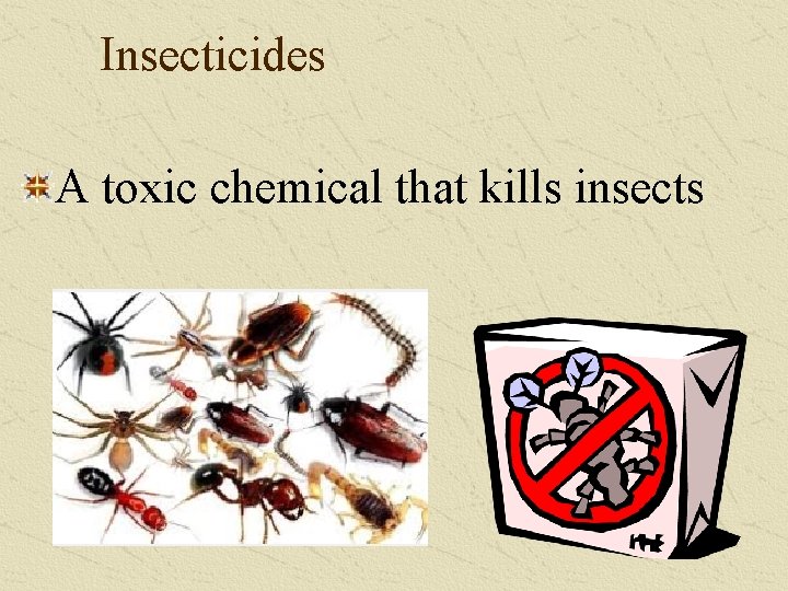 Insecticides A toxic chemical that kills insects 
