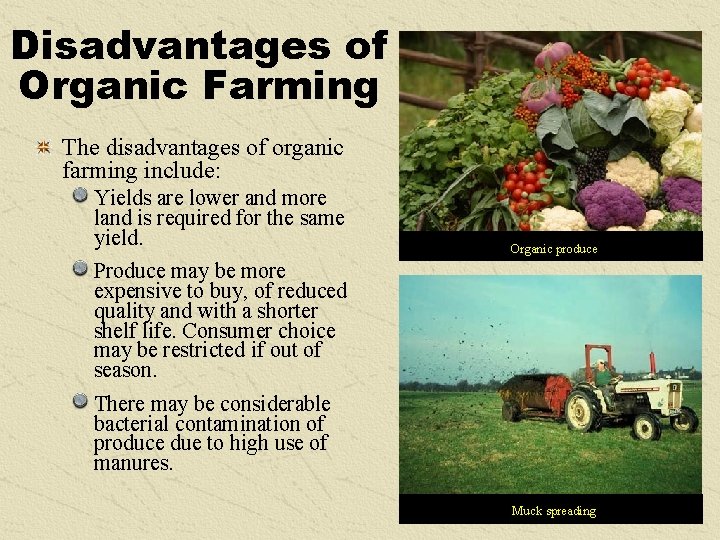Disadvantages of Organic Farming The disadvantages of organic farming include: Yields are lower and