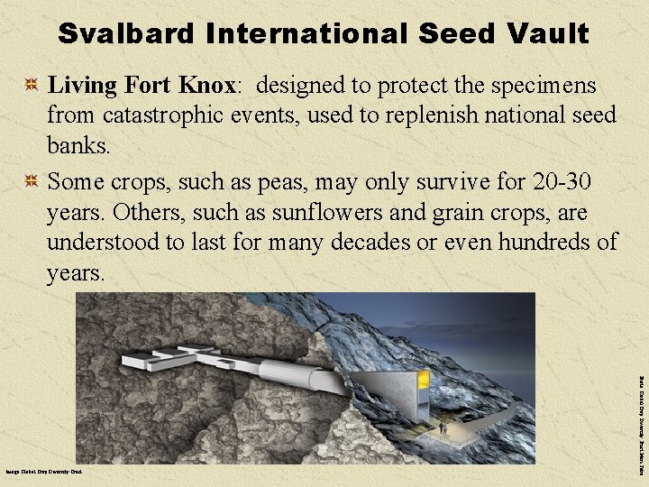 Svalbard International Seed Vault Living Fort Knox: designed to protect the specimens from catastrophic