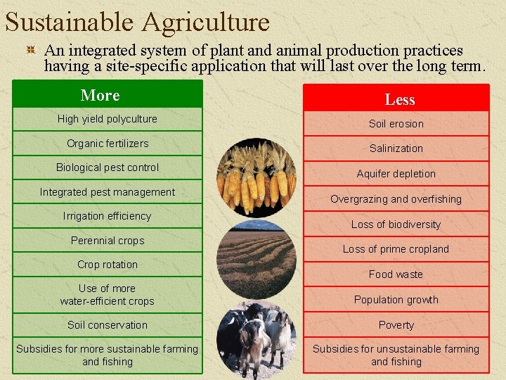 Sustainable Agriculture An integrated system of plant and animal production practices having a site-specific