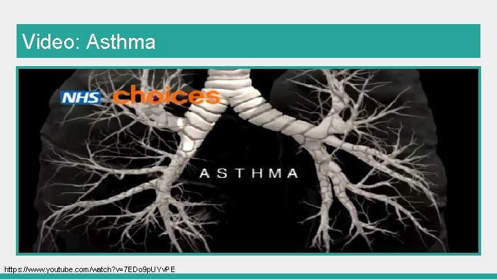 Video: Asthma https: //www. youtube. com/watch? v=7 EDo 9 p. UYv. PE 