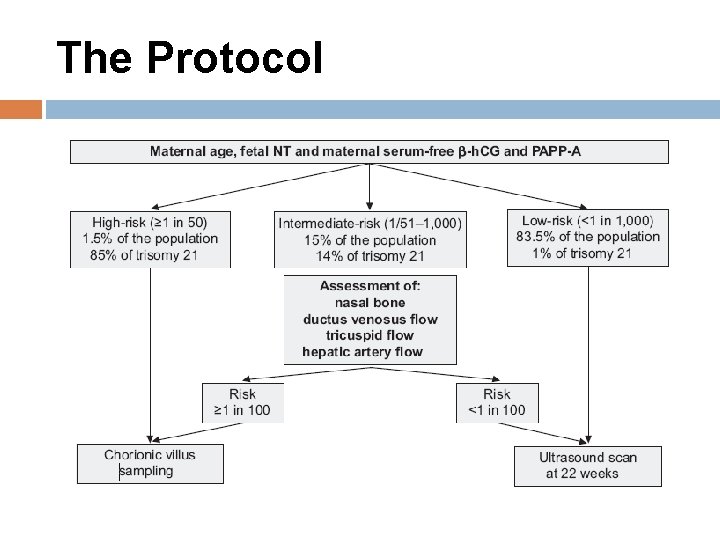 The Protocol 