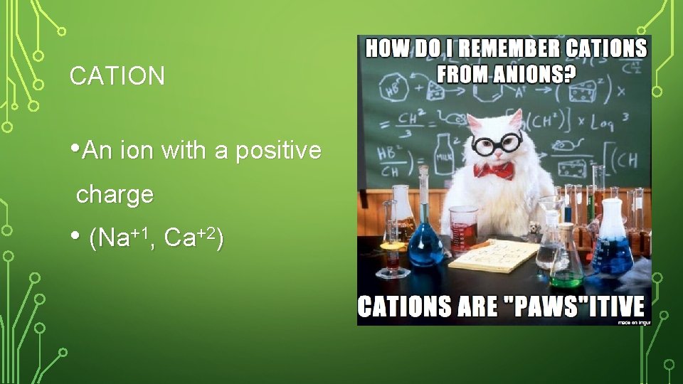 CATION • An ion with a positive charge • (Na+1, Ca+2) 