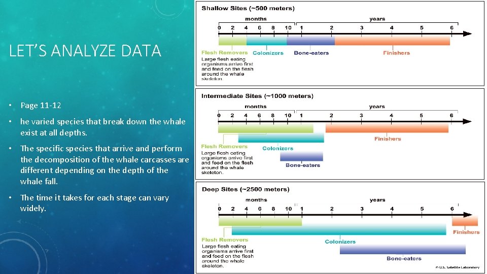 LET’S ANALYZE DATA • Page 11 -12 • he varied species that break down LET’S ANALYZE DATA • Page 11 -12 • he varied species that break down