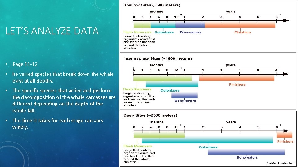 LET’S ANALYZE DATA • Page 11 -12 • he varied species that break down