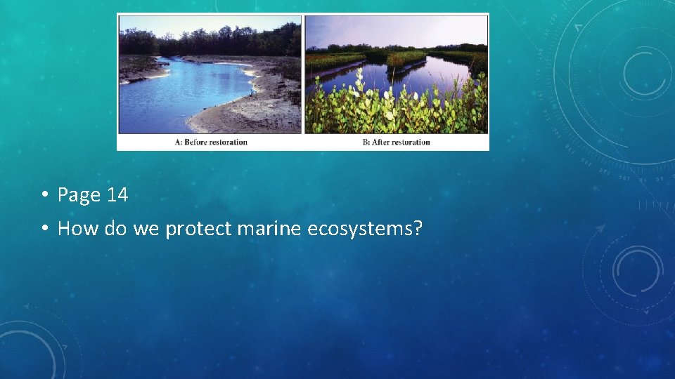  • Page 14 • How do we protect marine ecosystems? 