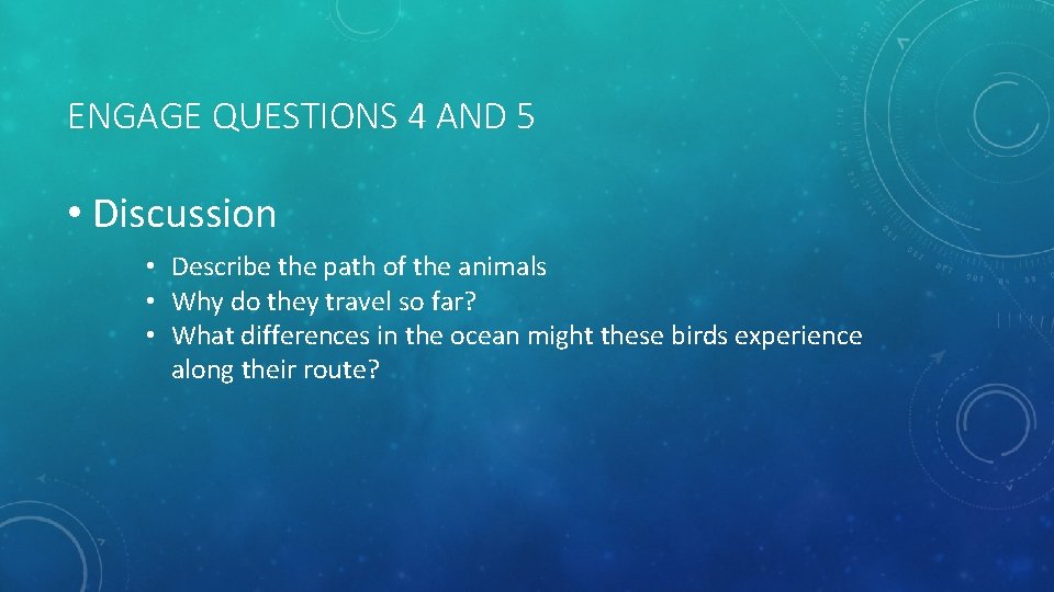 ENGAGE QUESTIONS 4 AND 5 • Discussion • Describe the path of the animals ENGAGE QUESTIONS 4 AND 5 • Discussion • Describe the path of the animals