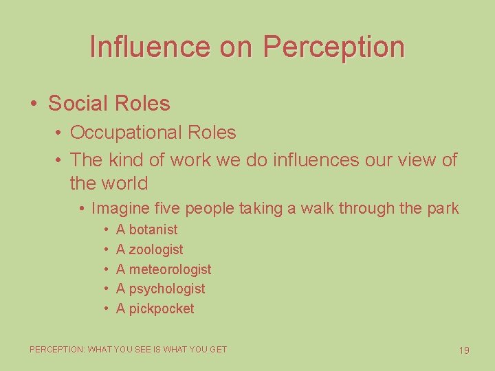 Influence on Perception • Social Roles • Occupational Roles • The kind of work