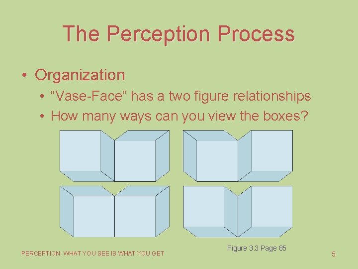 The Perception Process • Organization • “Vase-Face” has a two figure relationships • How