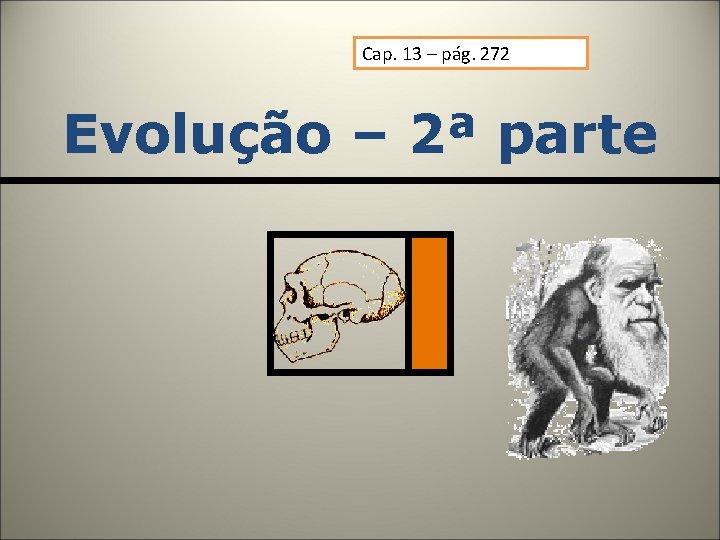 Cap. 13 – pág. 272 Evolução – 2ª parte Cap. 13 – pág. 272 Evolução – 2ª parte