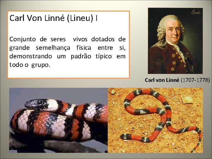 Carl Von Linné (Lineu) I Conjunto de seres vivos dotados de grande semelhança física Carl Von Linné (Lineu) I Conjunto de seres vivos dotados de grande semelhança física