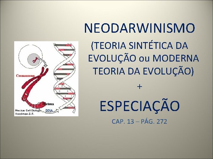 NEODARWINISMO (TEORIA SINTÉTICA DA EVOLUÇÃO ou MODERNA TEORIA DA EVOLUÇÃO) + ESPECIAÇÃO CAP. 13