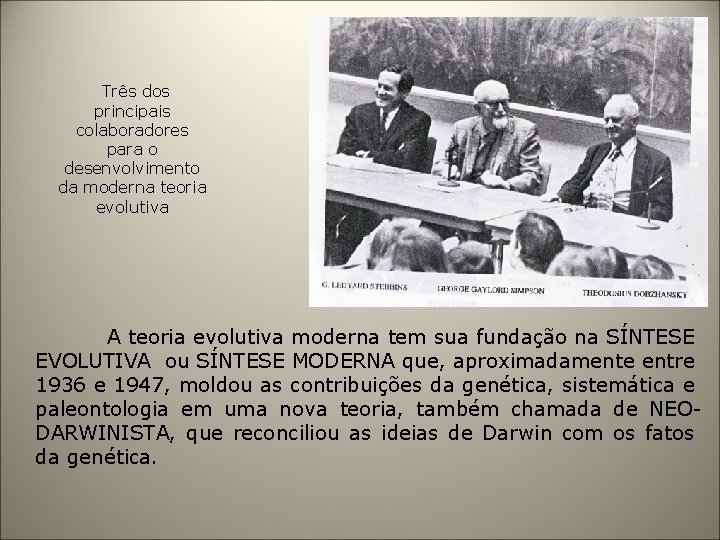 Três dos principais colaboradores para o desenvolvimento da moderna teoria evolutiva A teoria evolutiva