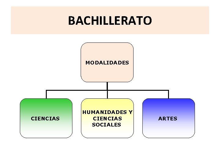 BACHILLERATO MODALIDADES CIENCIAS HUMANIDADES Y CIENCIAS SOCIALES ARTES 