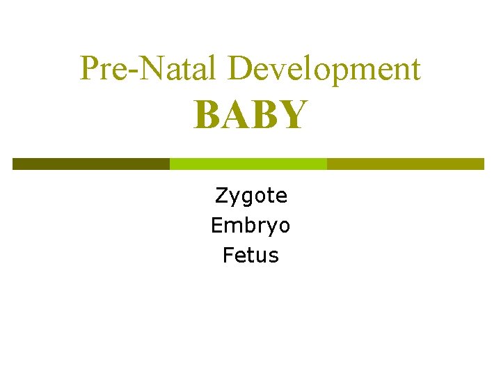 Pre-Natal Development BABY Zygote Embryo Fetus 