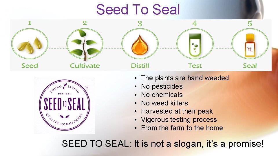 Seed To Seal • • The plants are hand weeded No pesticides No chemicals