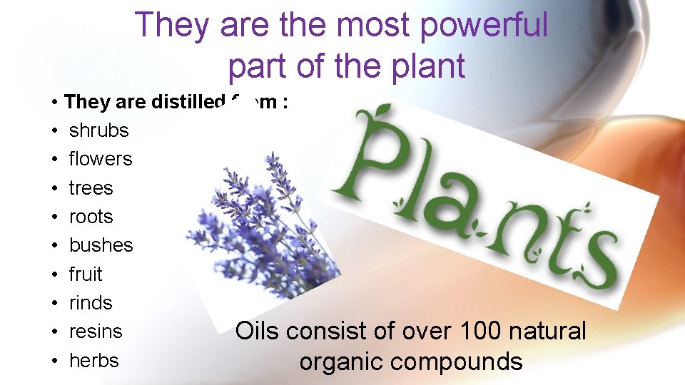 They are the most powerful part of the plant • They are distilled from