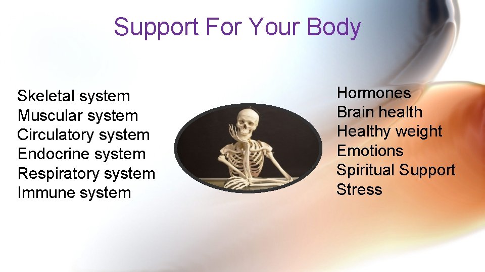 Support For Your Body Skeletal system Muscular system Circulatory system Endocrine system Respiratory system