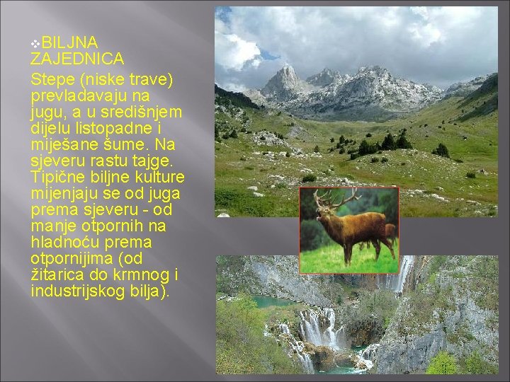 v. BILJNA ZAJEDNICA Stepe (niske trave) prevladavaju na jugu, a u središnjem dijelu listopadne
