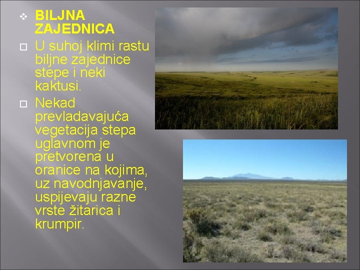 v BILJNA ZAJEDNICA U suhoj klimi rastu biljne zajednice stepe i neki kaktusi. Nekad