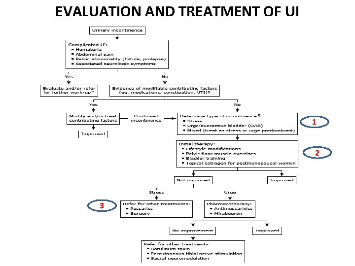 EVALUATION AND TREATMENT OF UI 1 2 3 