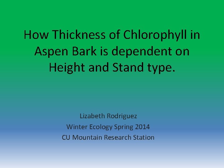 How Thickness of Chlorophyll in Aspen Bark is dependent on Height and Stand type.