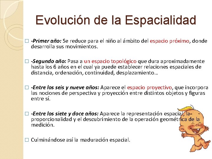 Evolución de la Espacialidad � -Primer año: Se reduce para el niño al ámbito