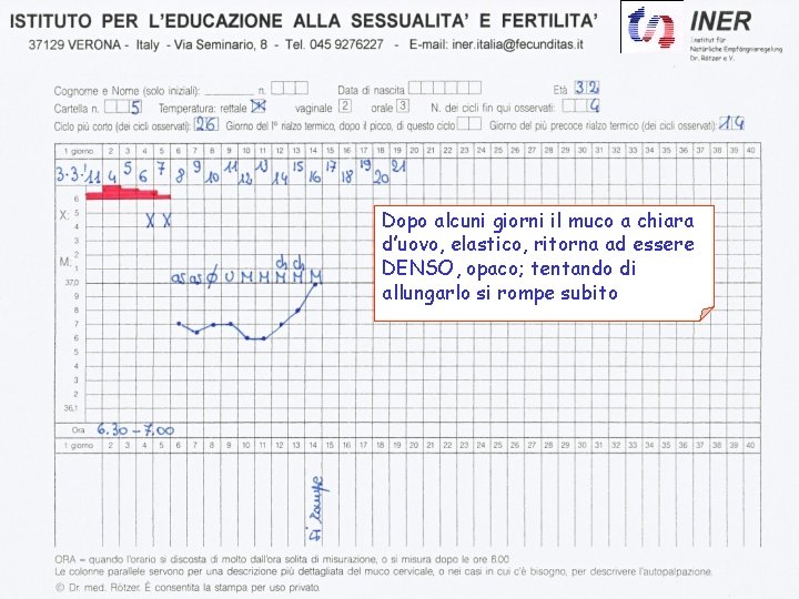 Dopo alcuni giorni il muco a chiara d’uovo, elastico, ritorna ad essere DENSO, opaco;