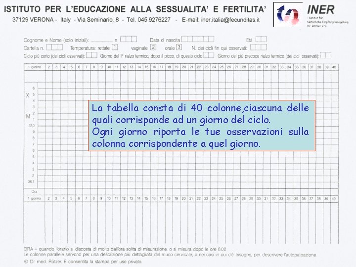 La tabella consta di 40 colonne, ciascuna delle quali corrisponde ad un giorno del