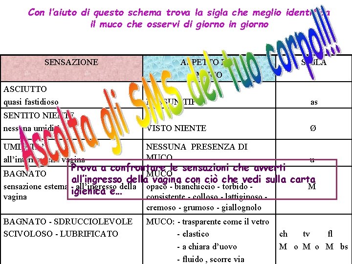 Con l’aiuto di questo schema trova la sigla che meglio identifica il muco che