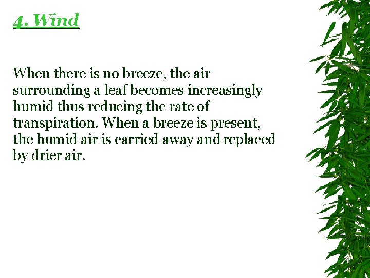 4. Wind When there is no breeze, the air surrounding a leaf becomes increasingly