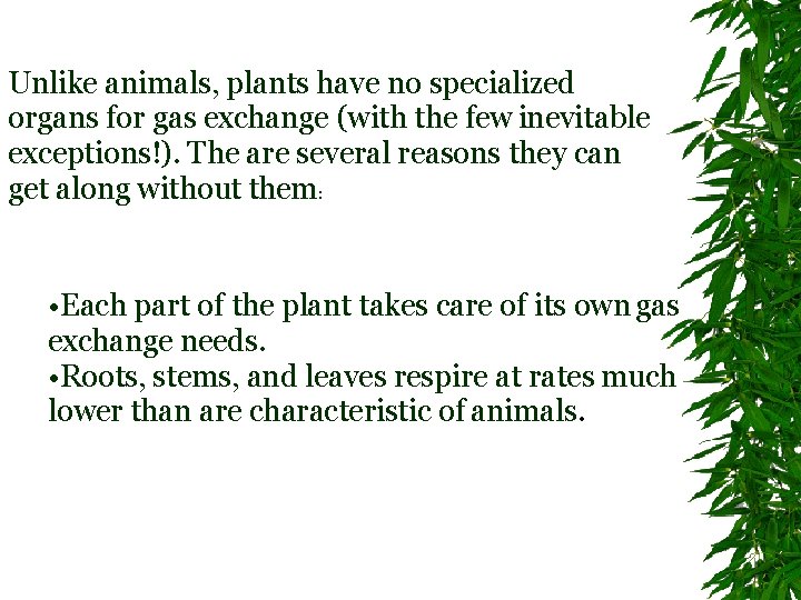 Unlike animals, plants have no specialized organs for gas exchange (with the few inevitable
