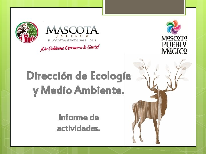 Dirección de Ecología y Medio Ambiente. Informe de actividades. 