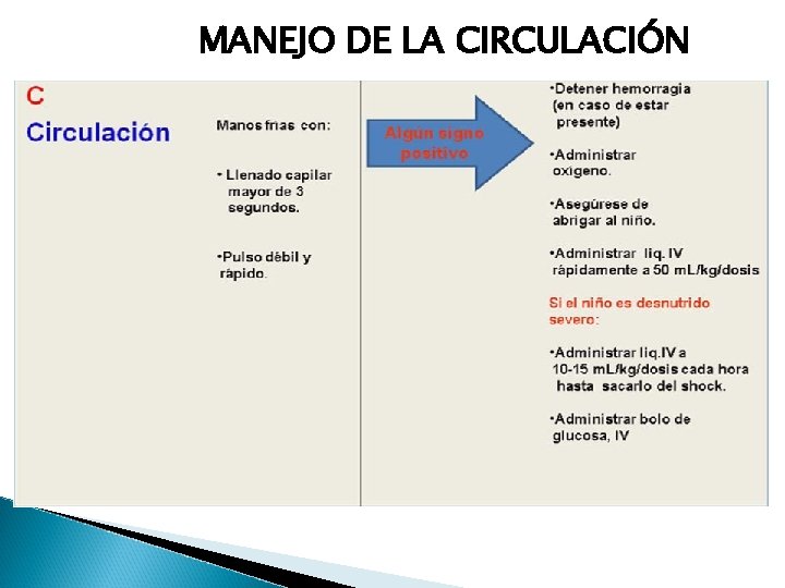 MANEJO DE LA CIRCULACIÓN 