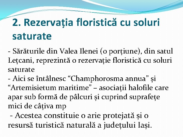 2. Rezervația floristică cu soluri saturate - Sărăturile din Valea Ilenei (o porțiune), din