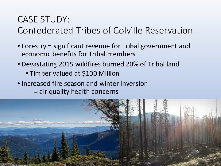 CASE STUDY: Confederated Tribes of Colville Reservation • Forestry = significant revenue for Tribal